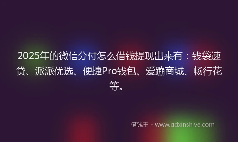 2025年的微信分付怎么借钱提现出来有：钱袋速贷、派派优选、便捷Pro钱包、爱蹦商城、畅行花等。
