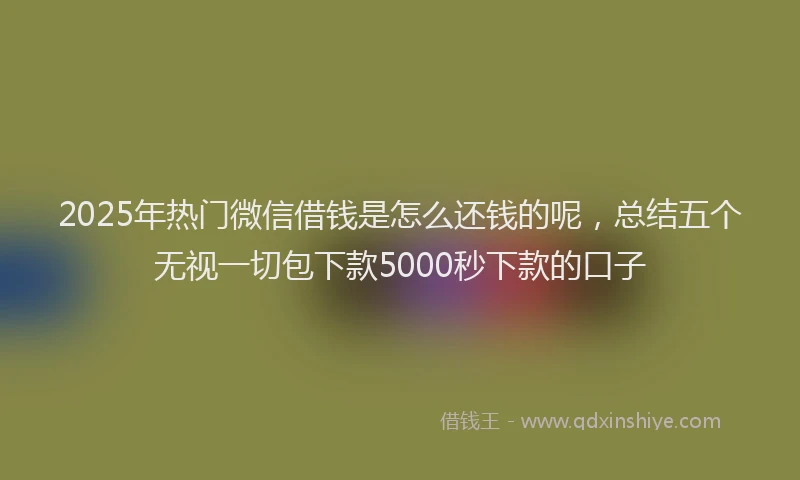 2025年热门微信借钱是怎么还钱的呢，总结五个无视一切包下款5000秒下款的口子