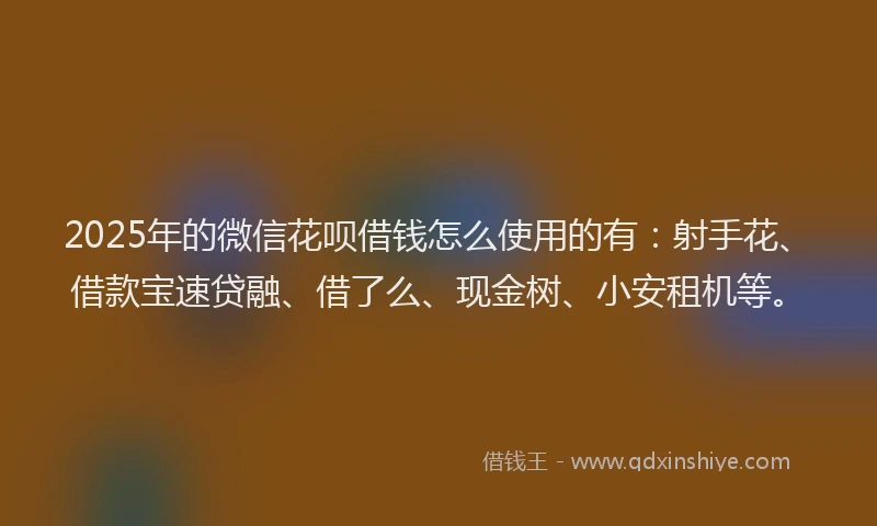 2025年的微信花呗借钱怎么使用的有：射手花、借款宝速贷融、借了么、现金树、小安租机等。