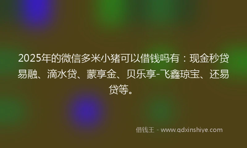 2025年的微信多米小猪可以借钱吗有：现金秒贷易融、滴水贷、蒙享金、贝乐享-飞鑫琼宝、还易贷等。