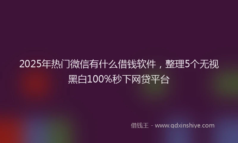 2025年热门微信有什么借钱软件，整理5个无视黑白100%秒下网贷平台