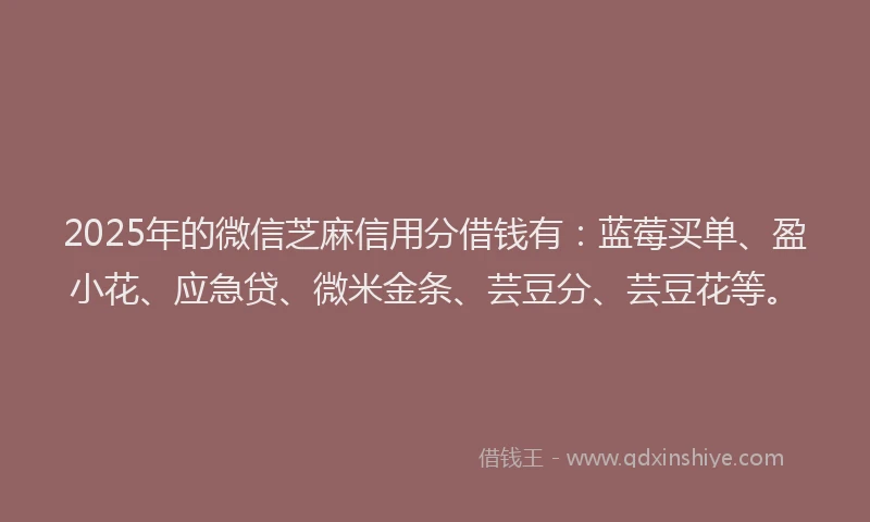 2025年的微信芝麻信用分借钱有：蓝莓买单、盈小花、应急贷、微米金条、芸豆分、芸豆花等。