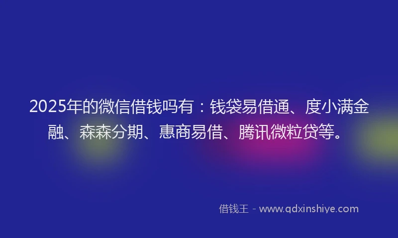2025年的微信借钱吗有：钱袋易借通、度小满金融、森森分期、惠商易借、腾讯微粒贷等。