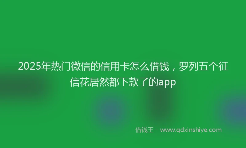 2025年热门微信的信用卡怎么借钱，罗列五个征信花居然都下款了的app