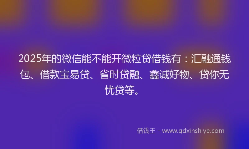 2025年的微信能不能开微粒贷借钱有：汇融通钱包、借款宝易贷、省时贷融、鑫诚好物、贷你无忧贷等。