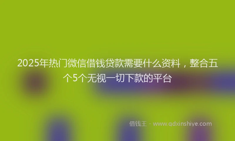 2025年热门微信借钱贷款需要什么资料，整合五个5个无视一切下款的平台