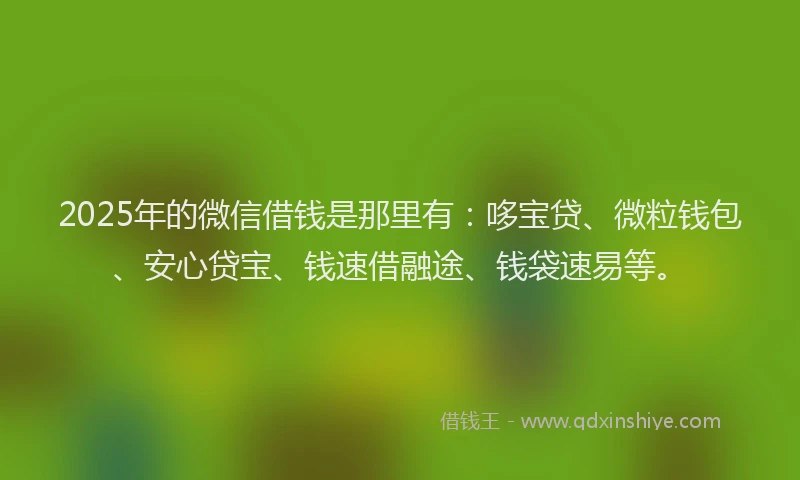 2025年的微信借钱是那里有：哆宝贷、微粒钱包、安心贷宝、钱速借融途、钱袋速易等。
