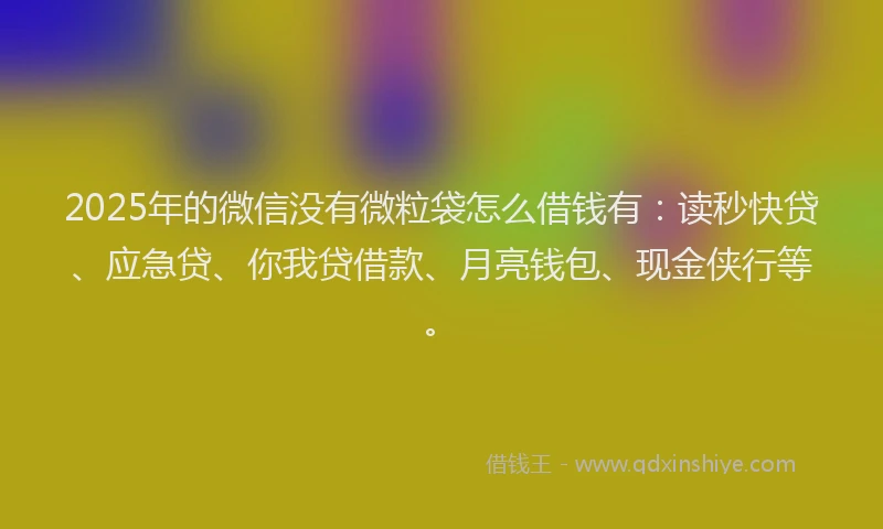 2025年的微信没有微粒袋怎么借钱有：读秒快贷、应急贷、你我贷借款、月亮钱包、现金侠行等。