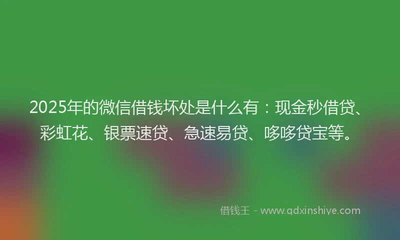 2025年的微信借钱坏处是什么有：现金秒借贷、彩虹花、银票速贷、急速易贷、哆哆贷宝等。