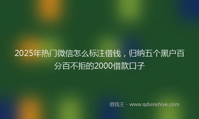 2025年热门微信怎么标注借钱，归纳五个黑户百分百不拒的2000借款口子