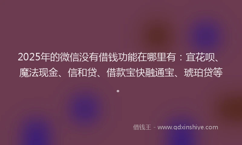 2025年的微信没有借钱功能在哪里有：宜花呗、魔法现金、信和贷、借款宝快融通宝、琥珀贷等。