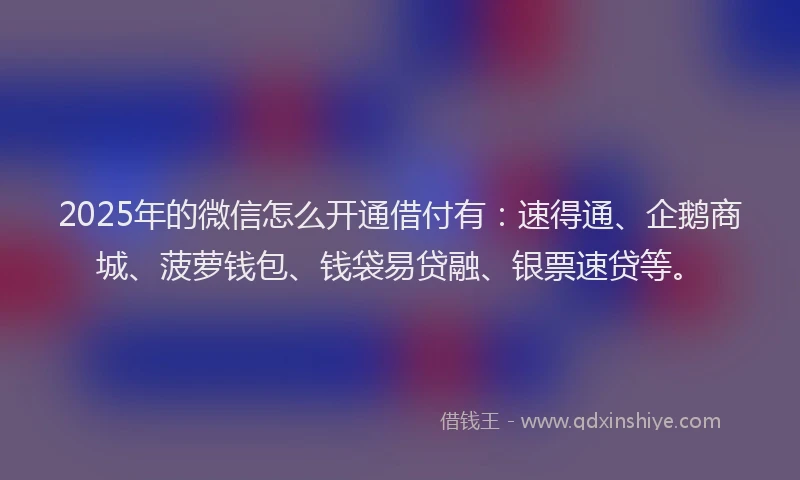 2025年的微信怎么开通借付有：速得通、企鹅商城、菠萝钱包、钱袋易贷融、银票速贷等。