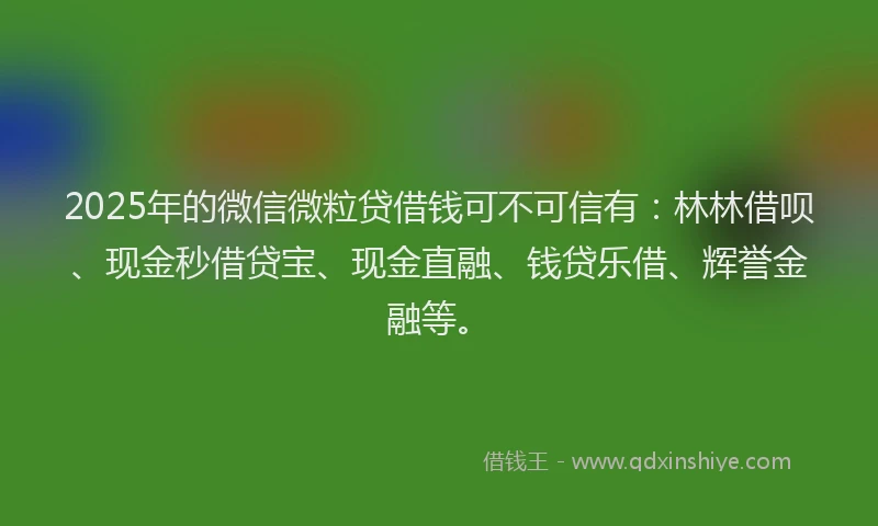 2025年的微信微粒贷借钱可不可信有：林林借呗、现金秒借贷宝、现金直融、钱贷乐借、辉誉金融等。