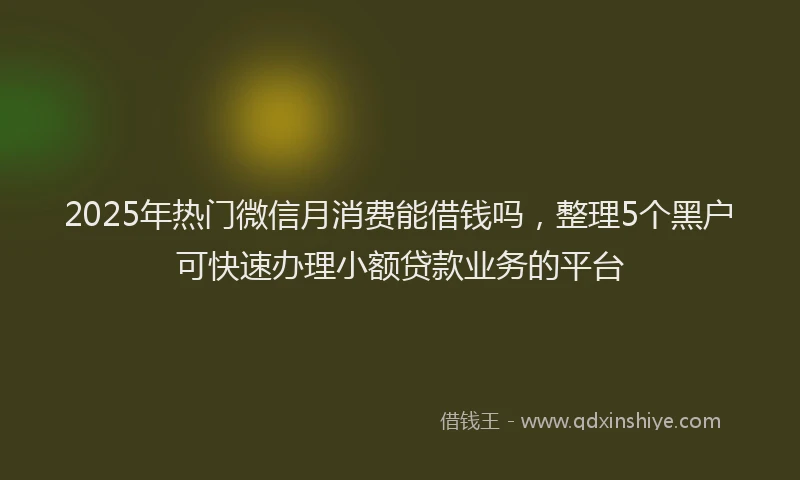2025年热门微信月消费能借钱吗，整理5个黑户可快速办理小额贷款业务的平台