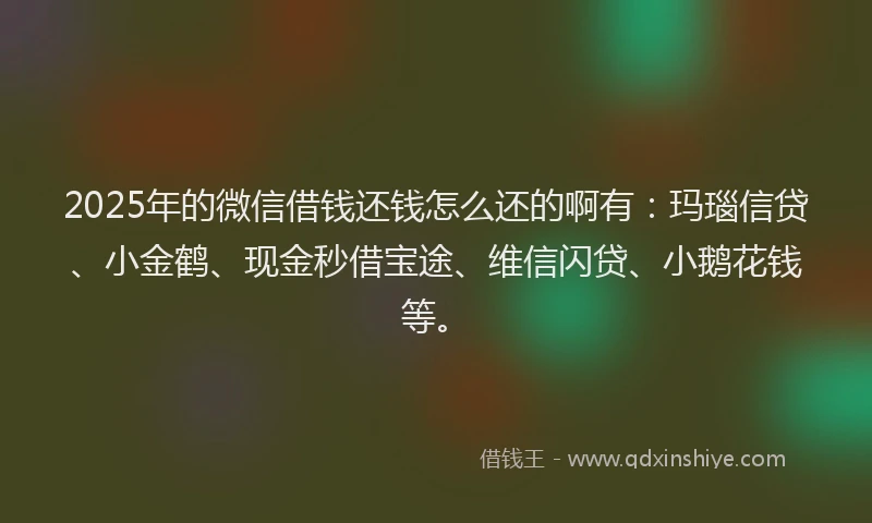 2025年的微信借钱还钱怎么还的啊有：玛瑙信贷、小金鹤、现金秒借宝途、维信闪贷、小鹅花钱等。