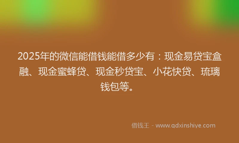 2025年的微信能借钱能借多少有：现金易贷宝盒融、现金蜜蜂贷、现金秒贷宝、小花快贷、琉璃钱包等。