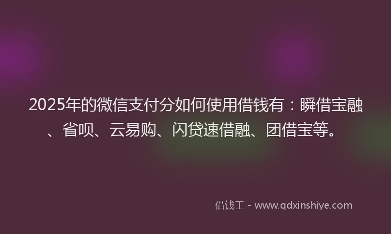 2025年的微信支付分如何使用借钱有：瞬借宝融、省呗、云易购、闪贷速借融、团借宝等。