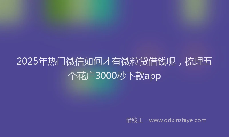 2025年热门微信如何才有微粒贷借钱呢，梳理五个花户3000秒下款app
