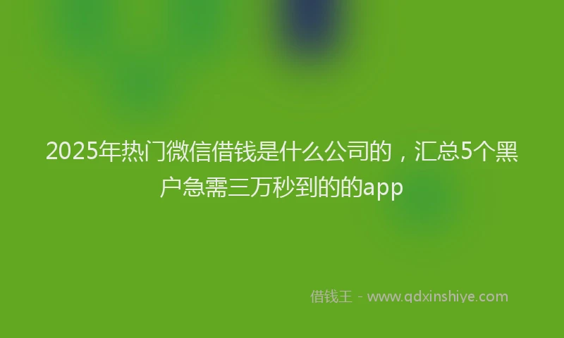 2025年热门微信借钱是什么公司的，汇总5个黑户急需三万秒到的的app