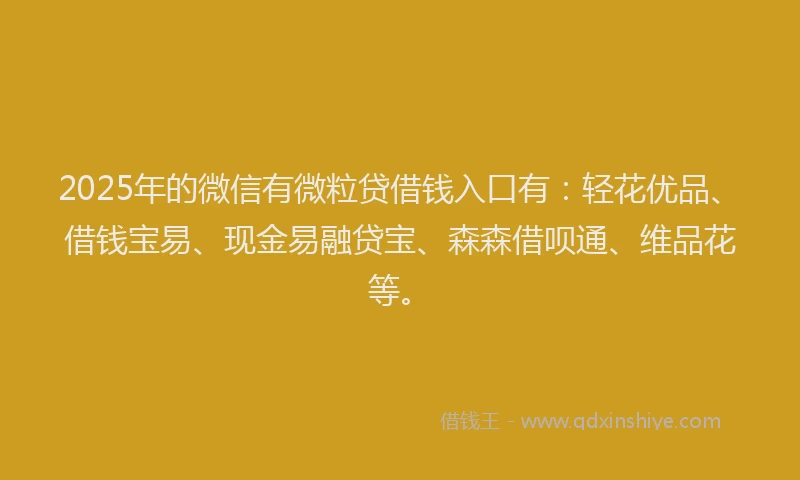 2025年的微信有微粒贷借钱入口有：轻花优品、借钱宝易、现金易融贷宝、森森借呗通、维品花等。