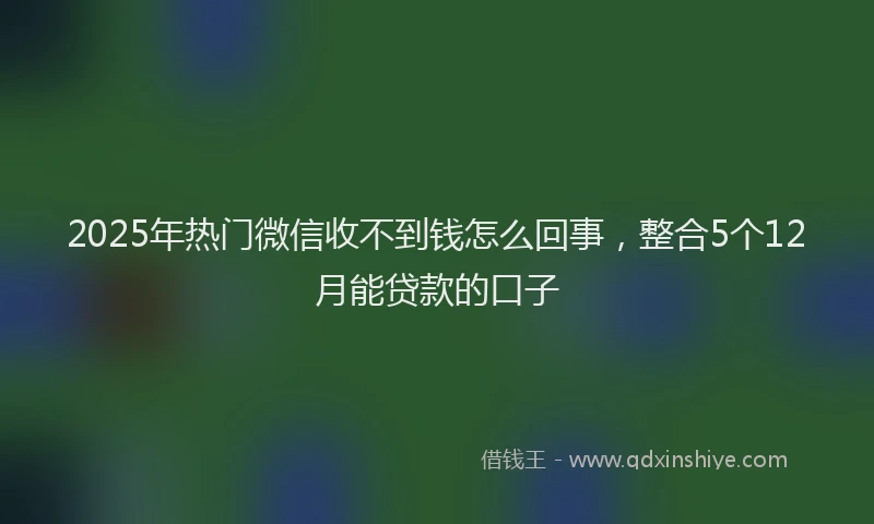 2025年热门微信收不到钱怎么回事，整合5个12月能贷款的口子