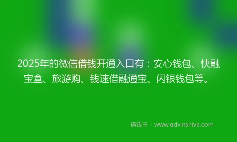 2025年的微信借钱开通入口有：安心钱包、快融宝盒、旅游购、钱速借融通宝、闪银钱包等。