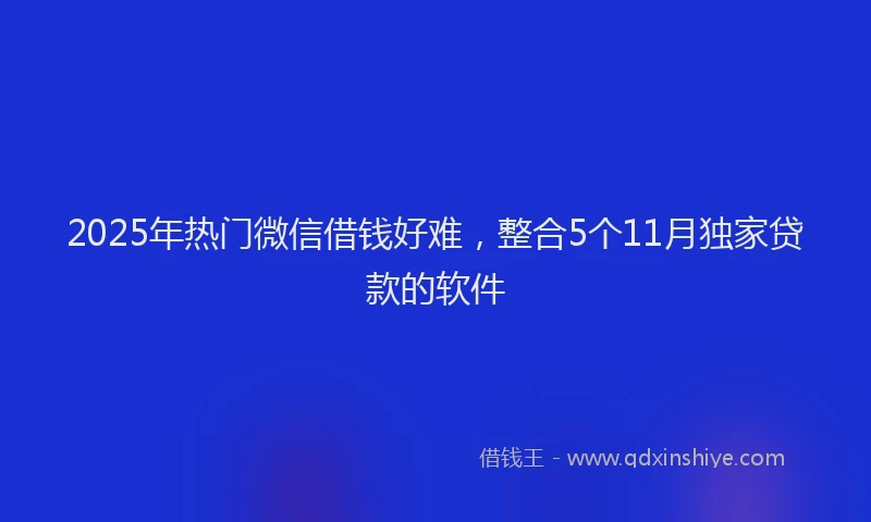 2025年热门微信借钱好难，整合5个11月独家贷款的软件