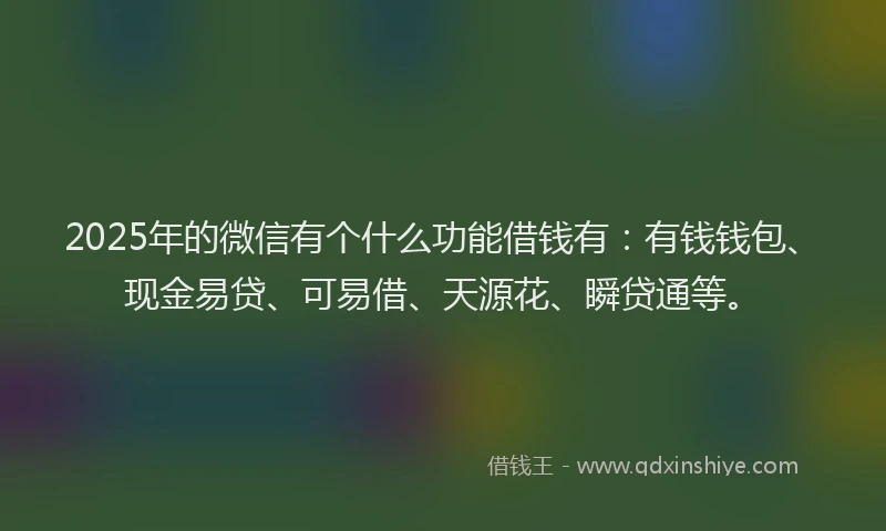 2025年的微信有个什么功能借钱有：有钱钱包、现金易贷、可易借、天源花、瞬贷通等。