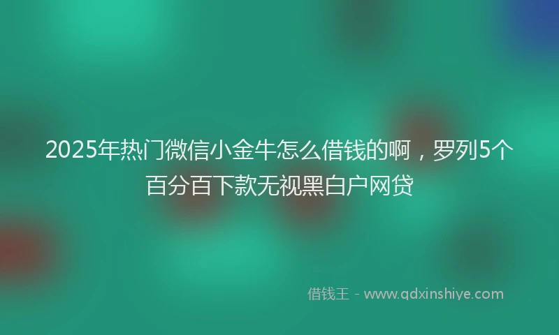 2025年热门微信小金牛怎么借钱的啊，罗列5个百分百下款无视黑白户网贷
