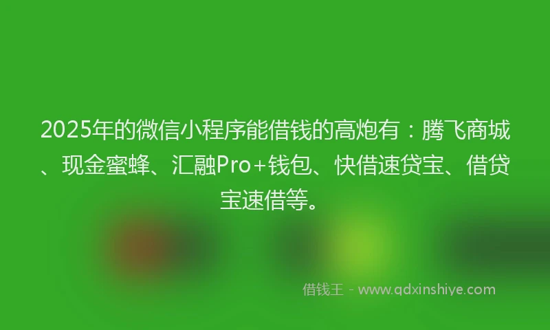 2025年的微信小程序能借钱的高炮有：腾飞商城、现金蜜蜂、汇融Pro+钱包、快借速贷宝、借贷宝速借等。