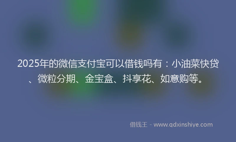 2025年的微信支付宝可以借钱吗有：小油菜快贷、微粒分期、金宝盒、抖享花、如意购等。