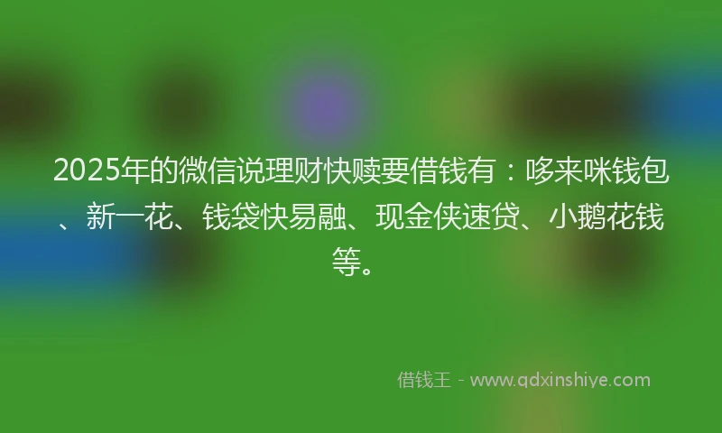 2025年的微信说理财快赎要借钱有：哆来咪钱包、新一花、钱袋快易融、现金侠速贷、小鹅花钱等。