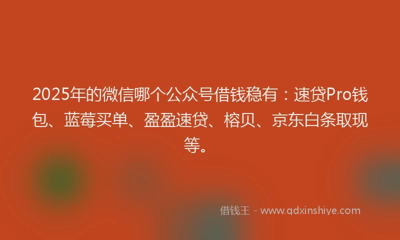 2025年的微信哪个公众号借钱稳有：速贷Pro钱包、蓝莓买单、盈盈速贷、榕贝、京东白条取现等。