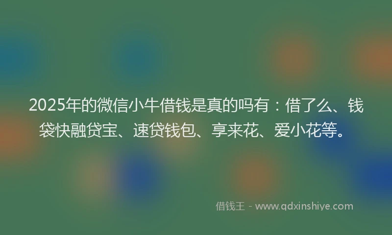 2025年的微信小牛借钱是真的吗有：借了么、钱袋快融贷宝、速贷钱包、享来花、爱小花等。