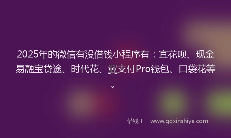 2025年的微信有没借钱小程序有：宜花呗、现金易融宝贷途、时代花、翼支付Pro钱包、口袋花等。