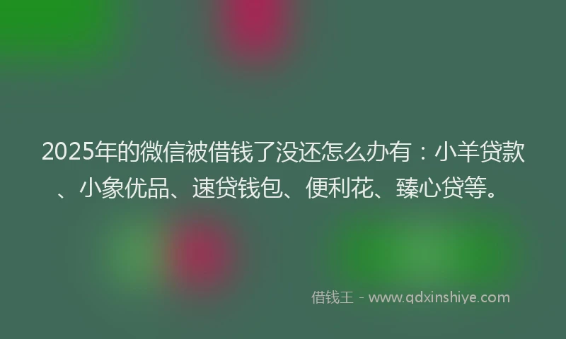 2025年的微信被借钱了没还怎么办有：小羊贷款、小象优品、速贷钱包、便利花、臻心贷等。