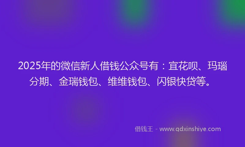 2025年的微信新人借钱公众号有：宜花呗、玛瑙分期、金瑞钱包、维维钱包、闪银快贷等。
