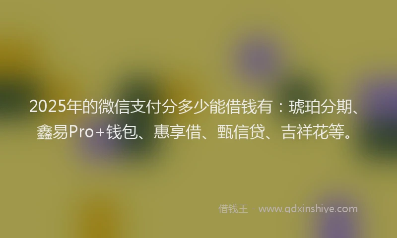 2025年的微信支付分多少能借钱有：琥珀分期、鑫易Pro+钱包、惠享借、甄信贷、吉祥花等。