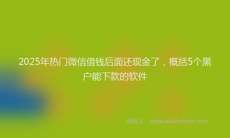 2025年热门微信借钱后面还现金了，概括5个黑户能下款的软件