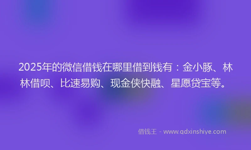 2025年的微信借钱在哪里借到钱有：金小豚、林林借呗、比速易购、现金侠快融、星愿贷宝等。