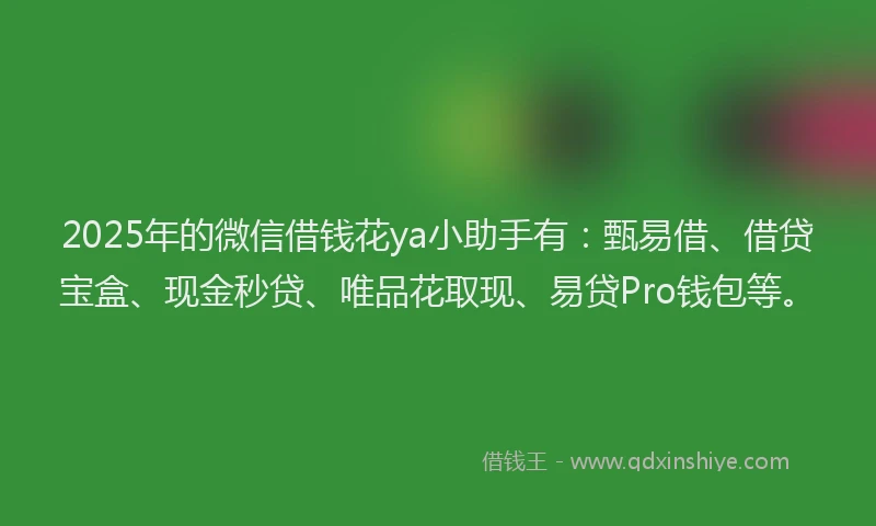 2025年的微信借钱花ya小助手有：甄易借、借贷宝盒、现金秒贷、唯品花取现、易贷Pro钱包等。