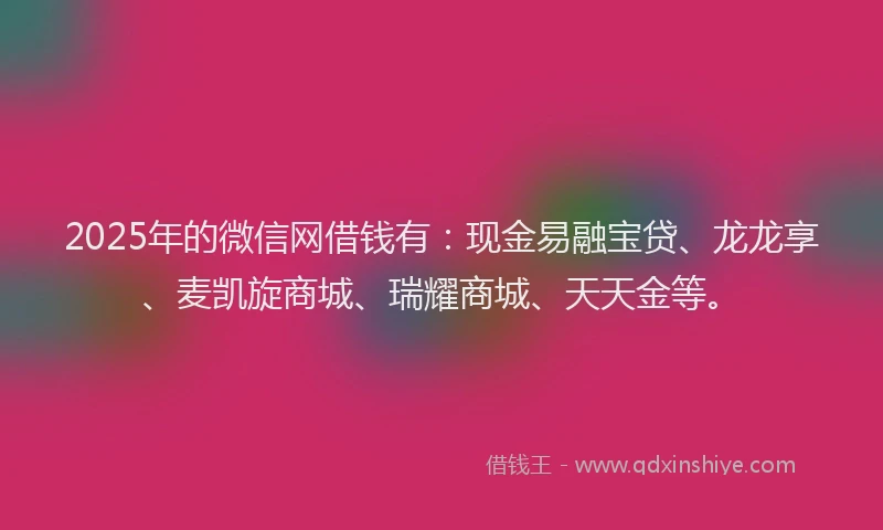 2025年的微信网借钱有：现金易融宝贷、龙龙享、麦凯旋商城、瑞耀商城、天天金等。