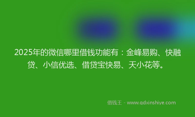 2025年的微信哪里借钱功能有：金峰易购、快融贷、小信优选、借贷宝快易、天小花等。