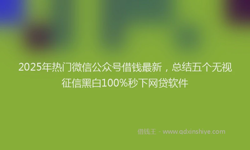 2025年热门微信公众号借钱最新，总结五个无视征信黑白100%秒下网贷软件