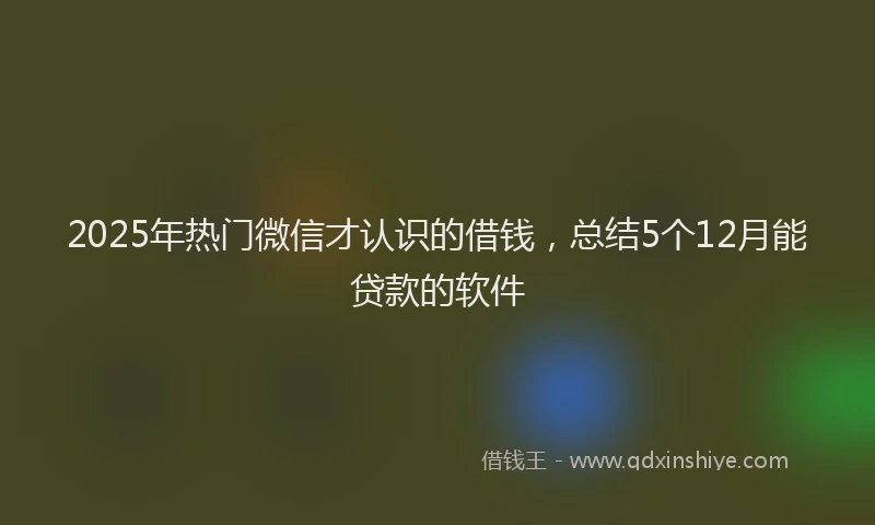 2025年热门微信才认识的借钱，总结5个12月能贷款的软件