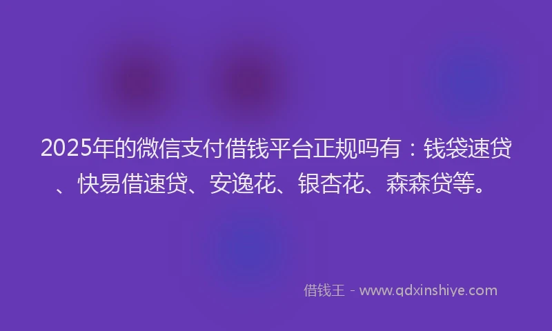 2025年的微信支付借钱平台正规吗有：钱袋速贷、快易借速贷、安逸花、银杏花、森森贷等。
