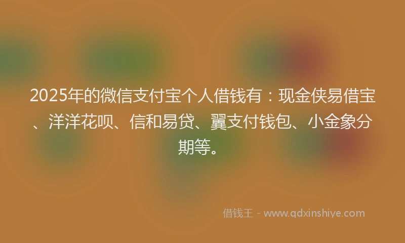 2025年的微信支付宝个人借钱有：现金侠易借宝、洋洋花呗、信和易贷、翼支付钱包、小金象分期等。