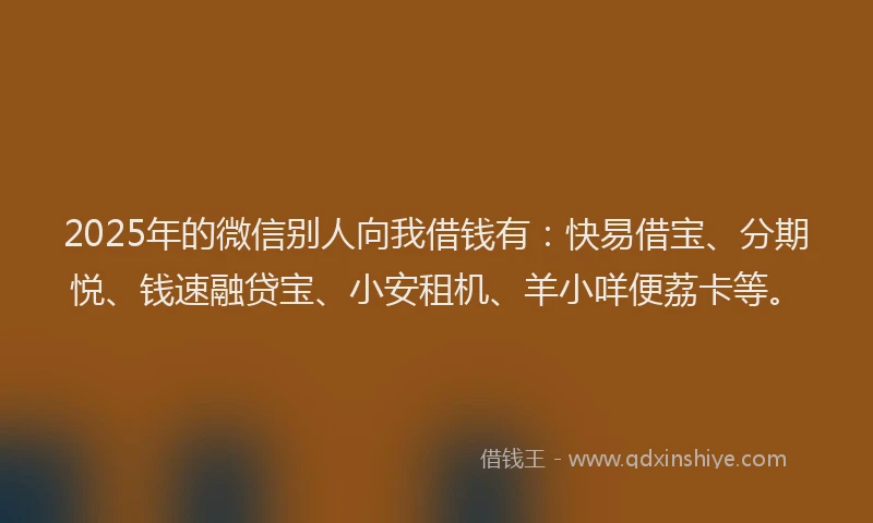 2025年的微信别人向我借钱有：快易借宝、分期悦、钱速融贷宝、小安租机、羊小咩便荔卡等。