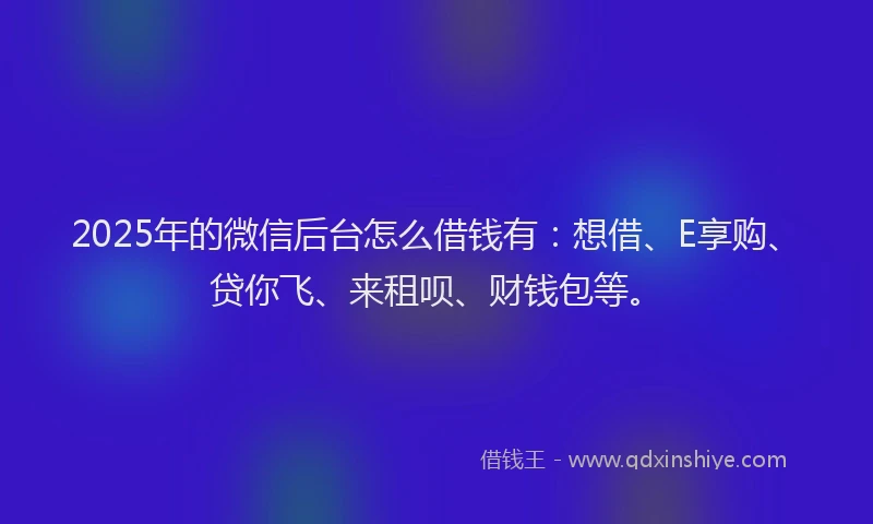 2025年的微信后台怎么借钱有：想借、E享购、贷你飞、来租呗、财钱包等。