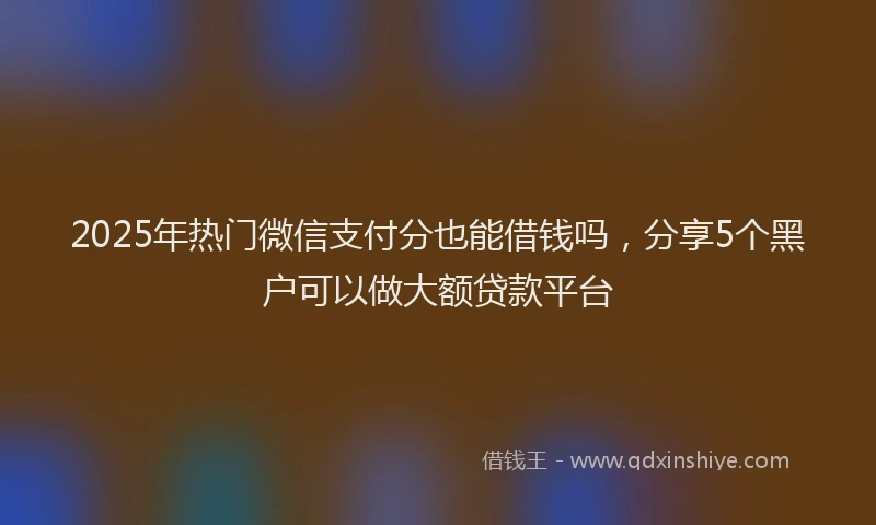 2025年热门微信支付分也能借钱吗，分享5个黑户可以做大额贷款平台